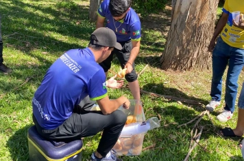 Foto - Participação da etapa da liga Sul Norte de desportos em Imbituva PR