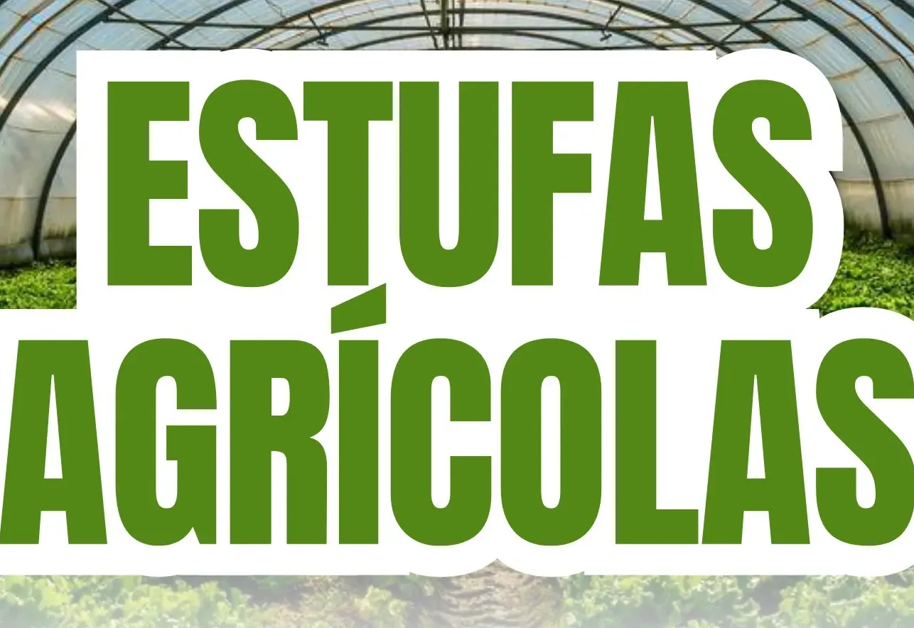 EDITAL DE CLASSIFICAÇÃO E ADJUDICAÇÃO CHAMADA PUBLICA Nº 002-2025